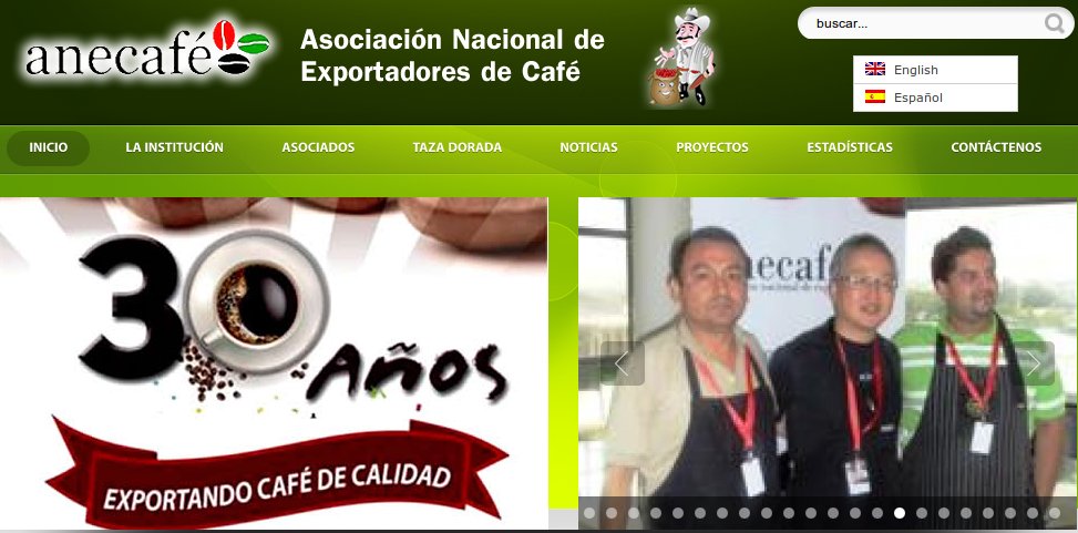 diseno web anecafe