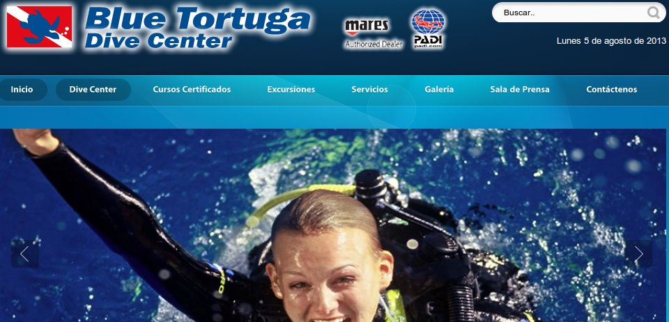 diseno web blue tortuga