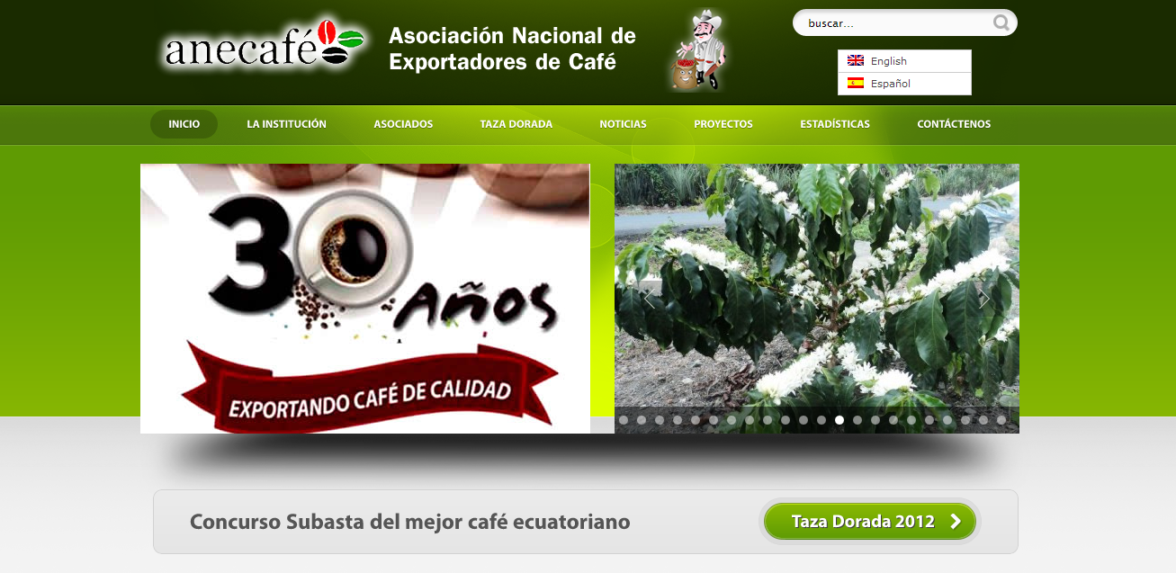 diseño web - anecafe